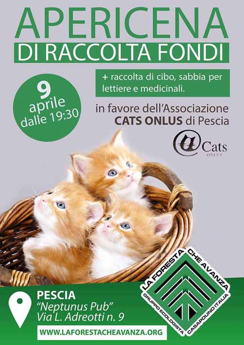 “CATS ONLUS”, RACCOLTA FONDI PER MICINI