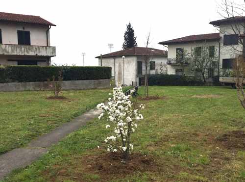 città. GIARDINETTO DI VIA TASSO E RESTYLING