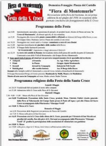 Il manifesto