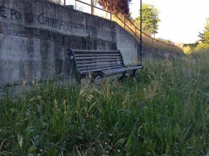  Una panchina soffocata dall’erba alta 