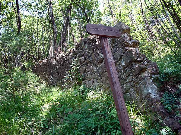 padule. CAMMINATA TRA SAN BARONTO E BARCO REALE