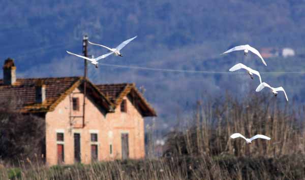 CONVEGNO DEL CENTRO RDP PER IL PADULE DI FUCECCHIO