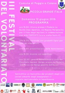 La locandina del festival del volontariato