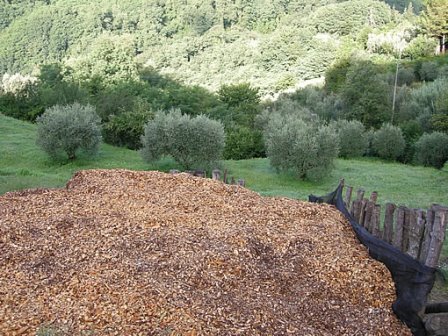 pescia. EFFICIENTAMENTO E RISCALDAMENTO A BIOMASSE NELLE SERRE