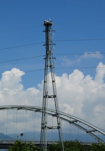 Il “ponte delle cicogne”