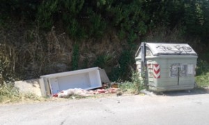 Pistoia. Rifiuti sul lato della strada. 2