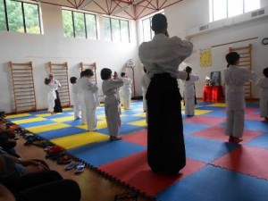 Una lezione di Aikido