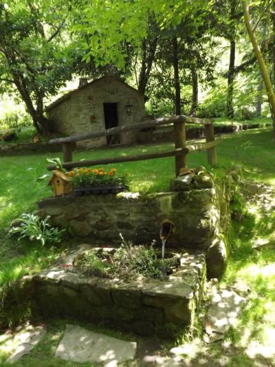 mammiano. UN “BOSCO RITROVATO” PER LA MONTAGNA