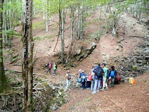 Il campo natura ad Acquerino