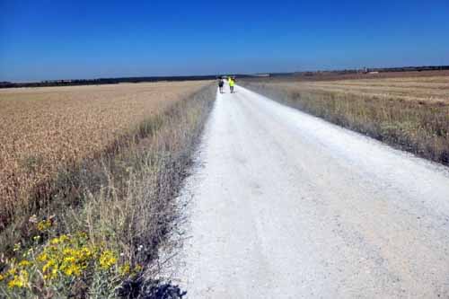 pellegrini. IL “CAMMINO DI SANTIAGO” NEL RACCONTO DI UN LETTORE