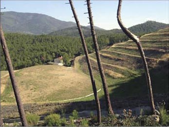 montemurlo. LE VOLPAIE, LA CORTE D’APPELLO DÀ RAGIONE AL COMUNE