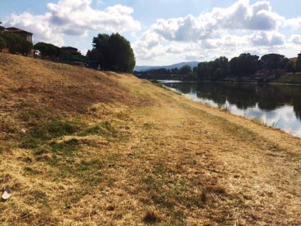 ARNO: NUOVE MANUTENZIONI SU TUTTO IL FIUME DA PONTASSIEVE ALLE SIGNE