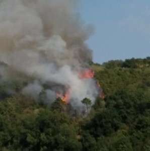 A fuoco il Montalbano 1