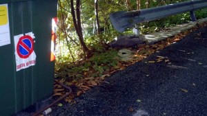 Guard rail protetto dalle Belle Arti in via Selvi Vecchie, Località Case di Sotto