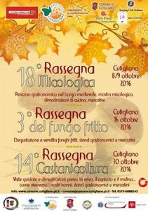 rassegna-fungo-fritto-cutigliano