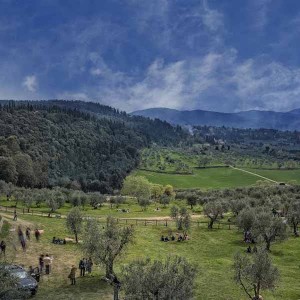 Le colline fiesolane