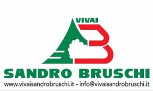 vivai-sandro-bruschi