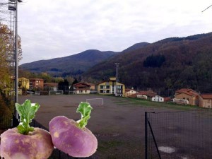 L'inerbamento del Severmino