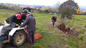 vigili del fuoco. SOCCORSO A PERSONE E ANIMALI