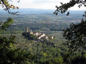 Il Castello di Larciano [Enrico Zarri]