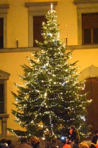 L’albero in piazza Duomo