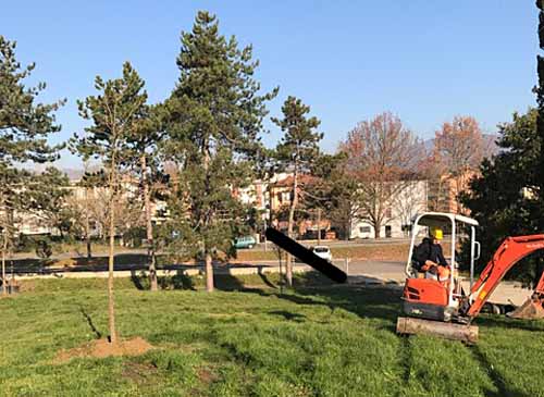 PARCO DELLA RANA, ENTRO LA SETTIMANA SARANNO PIANTATE 50 QUERCE