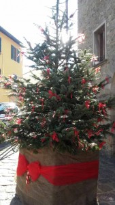 L'albero donato