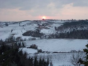 Il freddo mette a rischio diversi prodotti