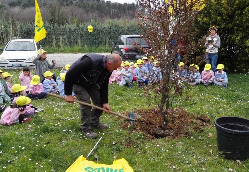 UN SUSINO PER LA SCUOLA DI SANTONUOVO