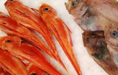 pasqua. FEDERCOOPESCA, IN QUARESIMA AUMENTA IL CONSUMOI DI PESCE