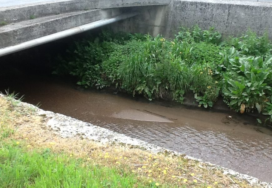 montecatini. CHI “RIPARA” I CORSI D’ACQUA?