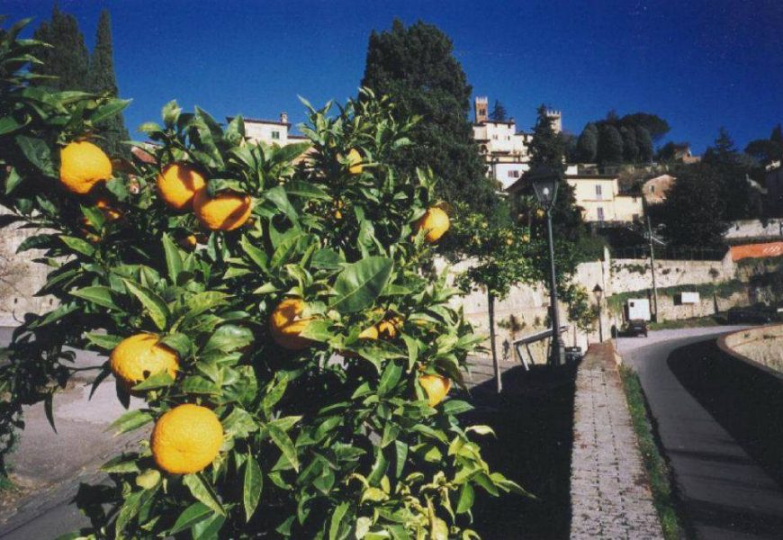 buggiano castello. ORTI E GIARDINI APERTI AL PUBBLICO NEL BORGO MEDIOEVALE