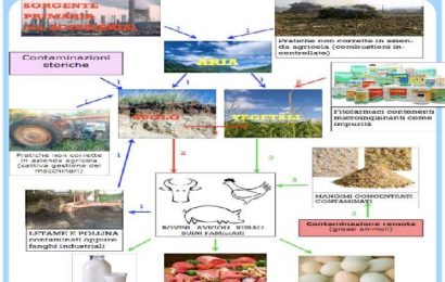 inquinamento-alimenti. NELLA PIANA TEORIA E PRATICA NON COINCIDONO. 2