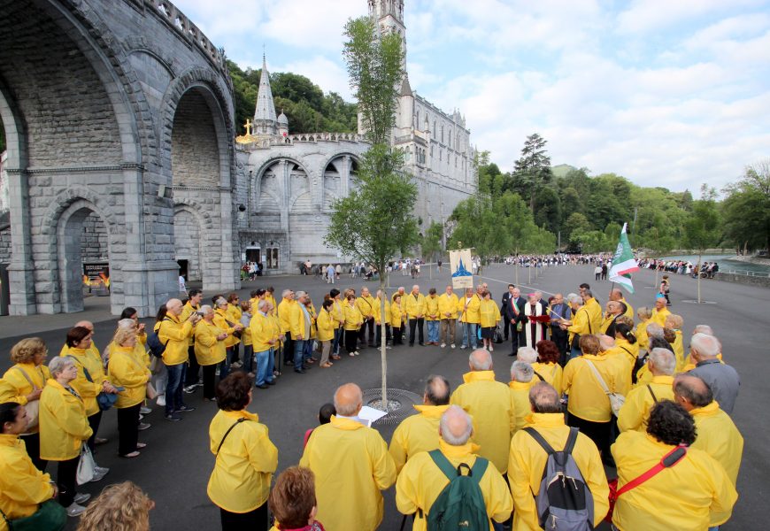 NOVE PIANTE DELLA GIORGIO TESI AL SANTUARIO DI LOURDES