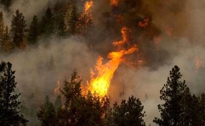 UN VASTO INCENDIO BOSCHIVO TRA CANDEGLIA E SANTOMORO