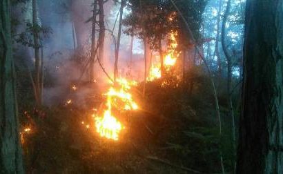 INCENDI, CONTINUA L’OPERATO DEI VIGILI DEL FUOCO