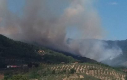 incendio. SONO SEMPRE DOLOSI E MANCA L’ORGANIZZAZIONE DI GOVERNO E REGIONI