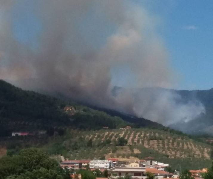 incendio. SONO SEMPRE DOLOSI E MANCA L’ORGANIZZAZIONE DI GOVERNO E REGIONI