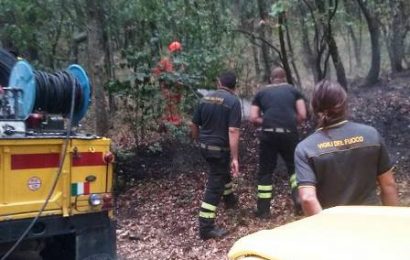 montemurlo. DOMATO INCENDIO BOSCHIVO