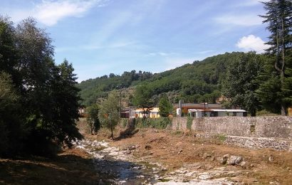 ALBERI LUNGO I FIUMI, TAGLI DEL CONSORZIO MEDIO VALDARNO