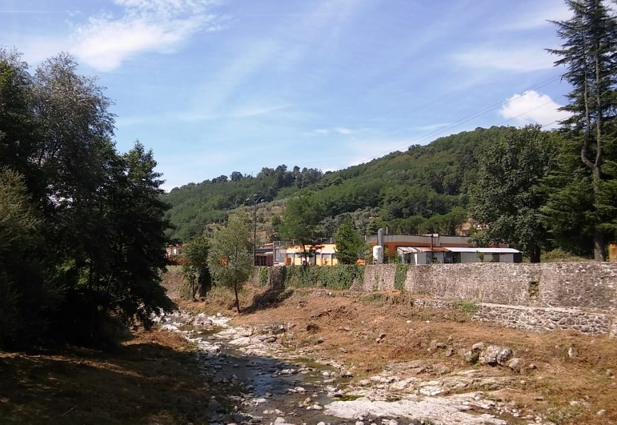 ALBERI LUNGO I FIUMI, TAGLI DEL CONSORZIO MEDIO VALDARNO