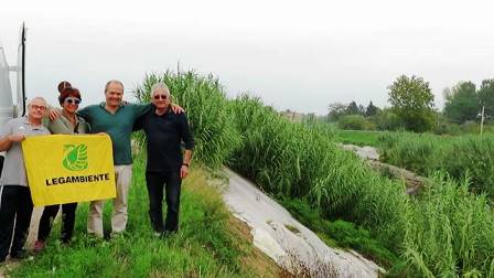 torrente ombrone. TOLTO L’ULTIMO TELONE BIANCO DALL’ARGINE IN QUERCIOLA