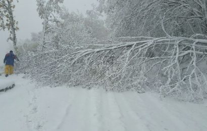 maltempo. PROSEGUE IL RIPRISTINO DEL SERVIZIO ELETTRICO