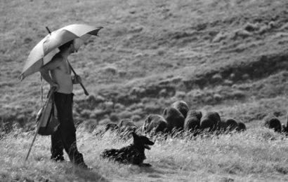 fotografia. «COLLEGHI DI LAVORO» IN UN’ALLEANZA MILLENARIA