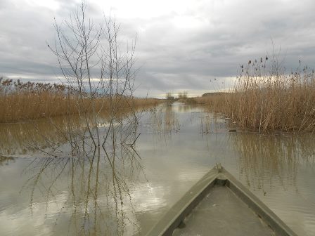 UN REGOLAMENTO UNICO PER IL PADULE DI FUCECCHIO E IL LAGO DI SIBOLLA