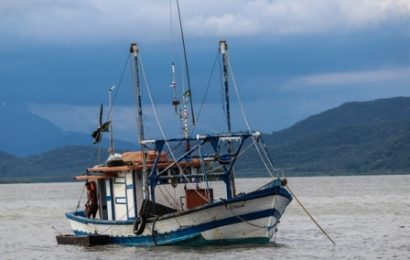 pesca. È ALLARME IN TOSCANA: A RISCHIO 3MILA POSTI DI LAVORO