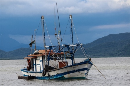 pesca. È ALLARME IN TOSCANA: A RISCHIO 3MILA POSTI DI LAVORO