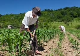 fisco. COLDIRETTI, STOP IMU AGRICOLA PER I PENSIONATI