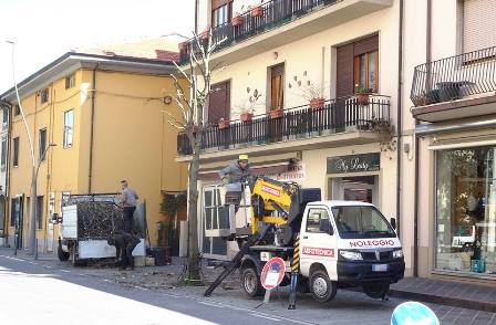 quarrata. POTATURE E CURA DEGLI ALBERI, AL VIA I LAVORI DI MANUTENZIONE DEL VERDE