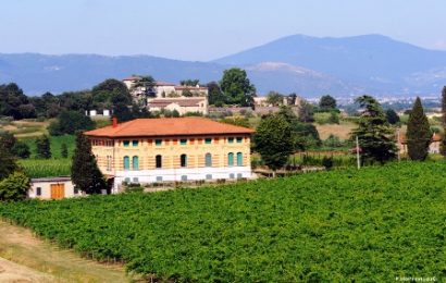 PAESAGGI DI VINI, SETTE ITINERARI NEL MONTALBANO SULLE TRACCE DI BACCO